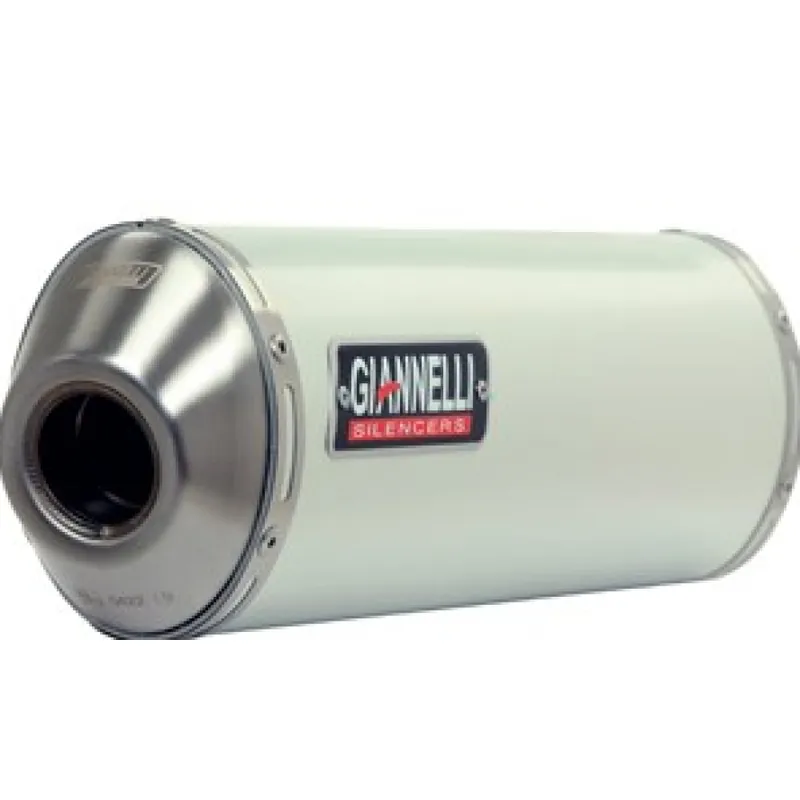 Auspuffanlage Giannelli Mini Oval Slip On Aluminium mit ABE für Kawasaki Online Kaufen