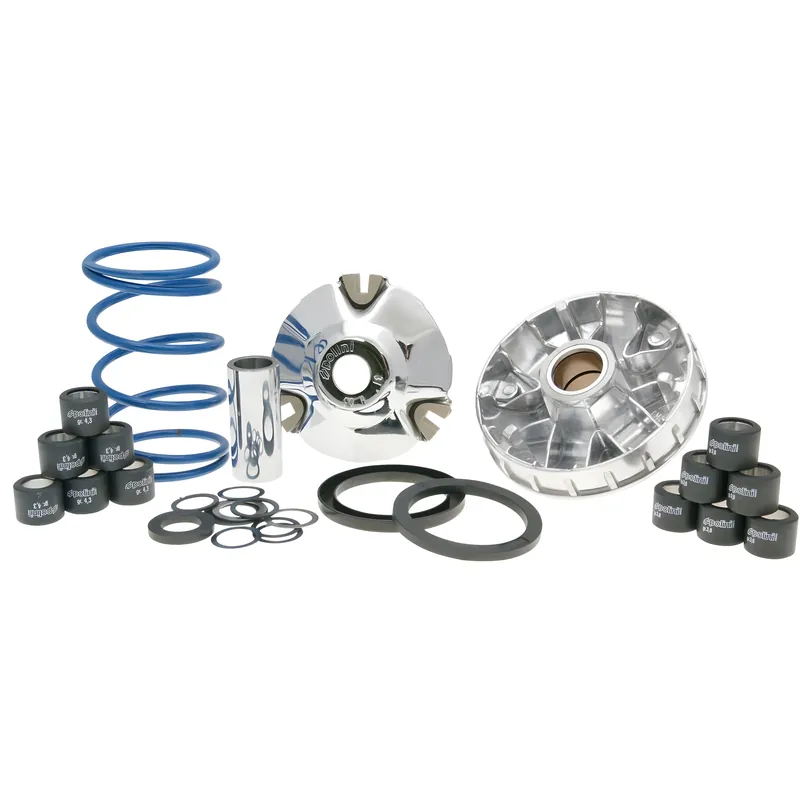 Aktuell Variomatik Polini Hi-Speed Evolution 16mm für Piaggio