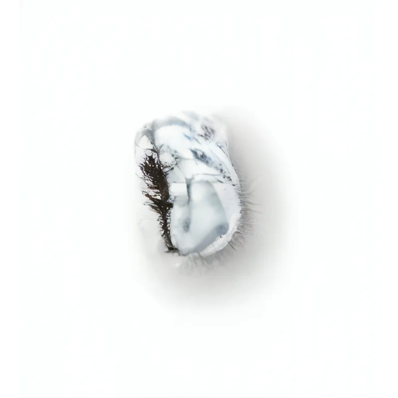 SHIN YO LED Blinker MICRO-OVAL Beliebt