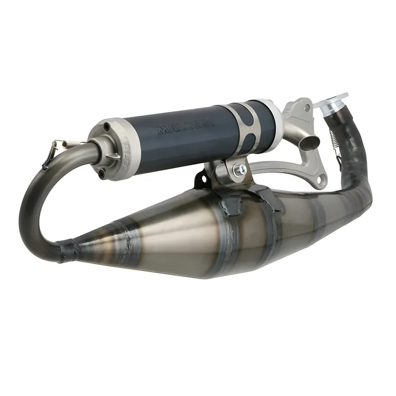 Auspuffanlage Malossi MHR TEAM Big Bore 77cc / 86cc für Minarelli liegend Angebot