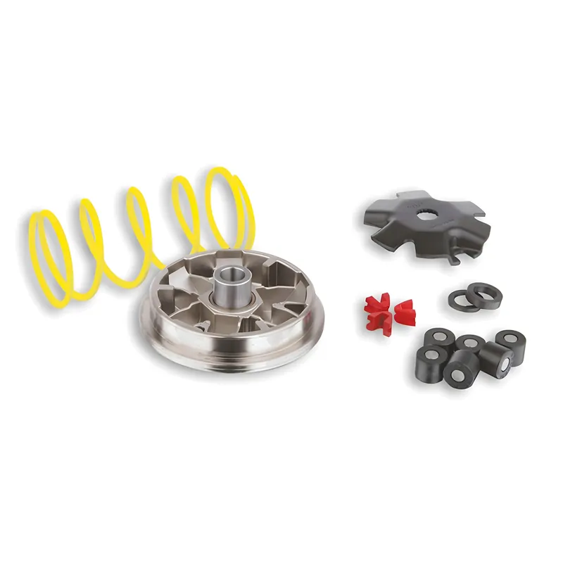 Variator Malossi Multivar für Piaggio Sfera / Zip (Bj. 91-94), Gegendruckfeder weiß , Gewichte 16x13mm - 6,00gr Bestseller