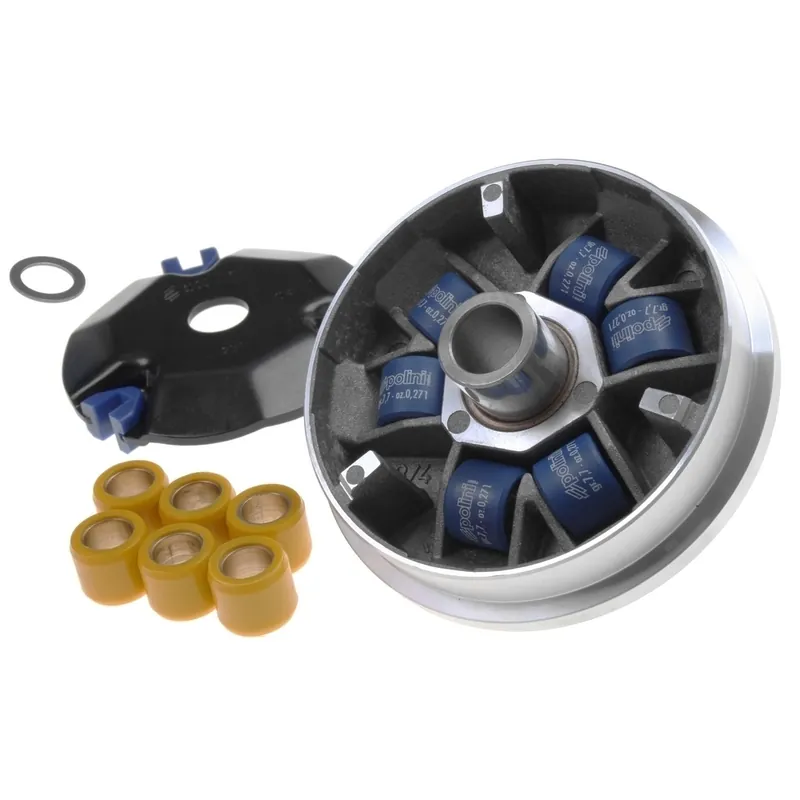 Variator Polini SPEED CONTROL für PGO Big Max Letzte Chance