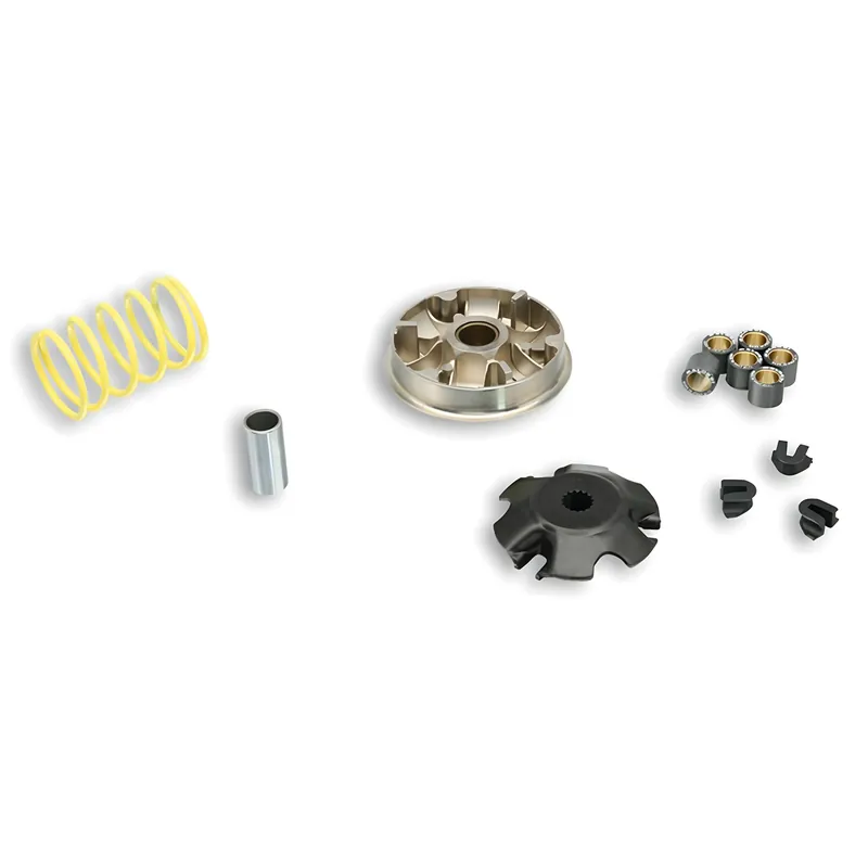 Variator Malossi Multivar 2000 für Peugeot Speedfight,Elyseo,Trekker,Vivacity 100 (nach Bj. 9 / 99), Gewichte 19x15,5mm - 11g für Kat-Modelle Markenprodukt