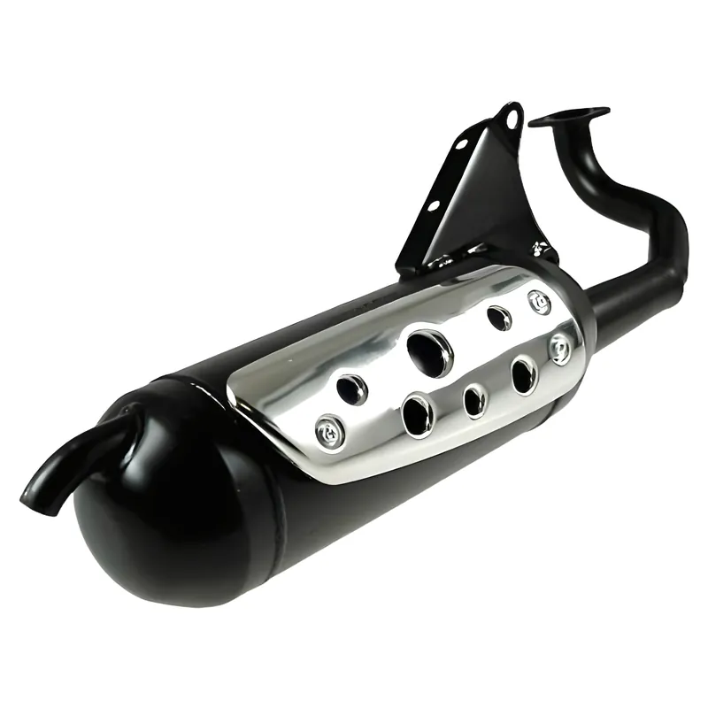 Auspuff Tecnigas Silent Pro für Daelim E-Five, S- Five Günstig