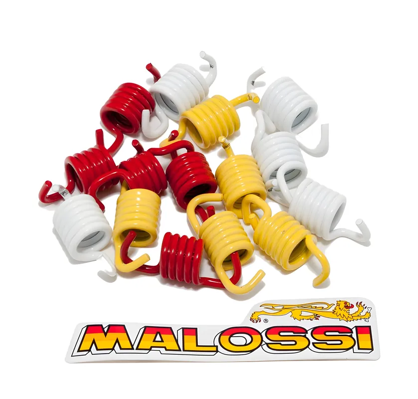 Kupplungsfedern Set Malossi Racing für Aprilia SRV 850, Garelli Xo 125 – 150, Gilera GP 800 Echt