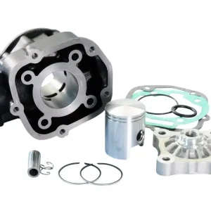 Zylinderkit Polini Grauguss Sport 50ccm für Derbi Senda GPR, Aprilia RS RX SX, Gilera RCR, SMT (D50B0) Neue Kollektion