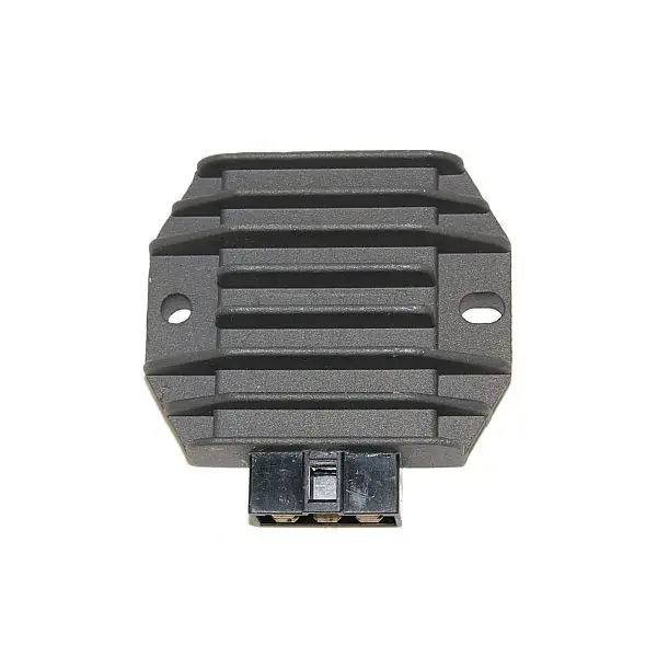 Sale ElectroSport Laderegler ESR 272