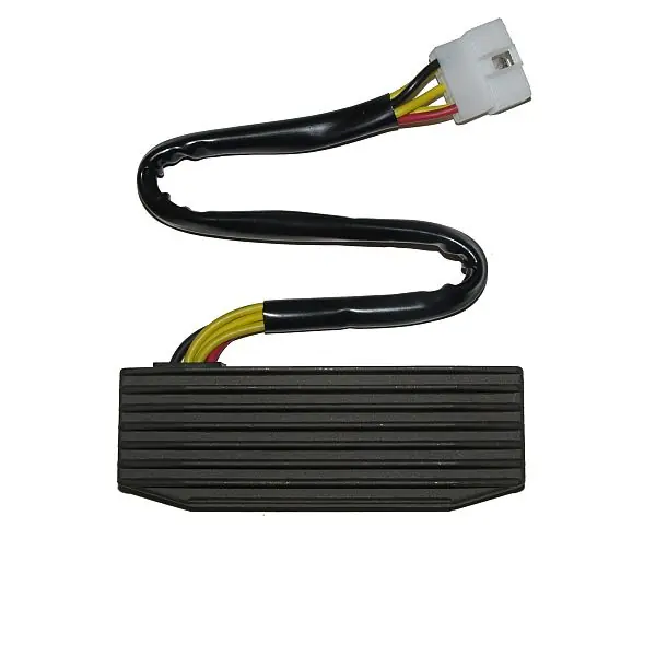 ElectroSport Laderegler ESR 751 Neu