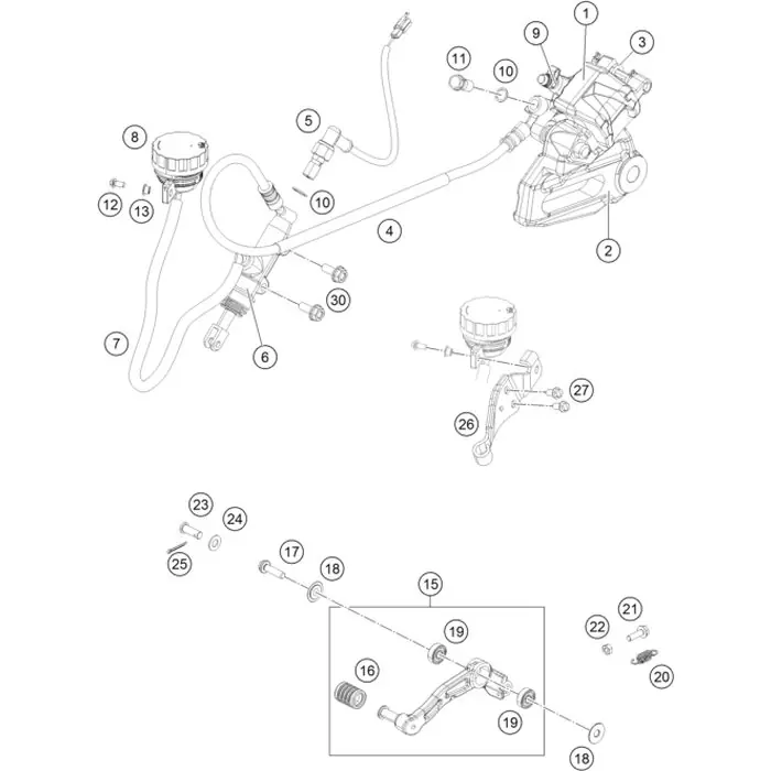 BREMSLEITUNG HINTEN Begrenztes Angebot