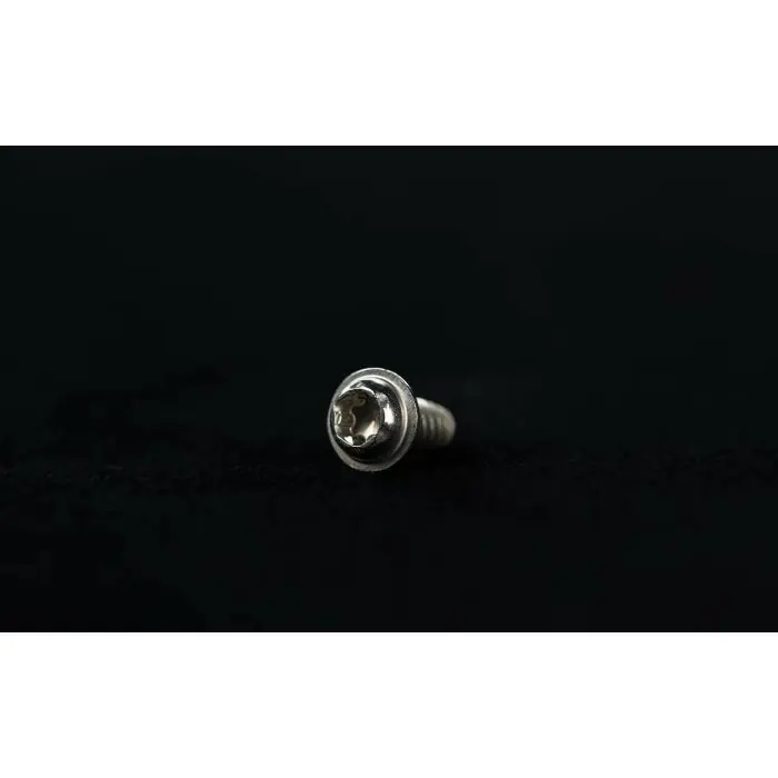 Schneller Versand License plate light bolt