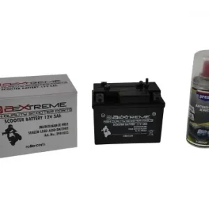 Billig Batterieset 12V 5Ah mit Polschutz Spray