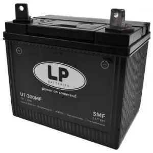 Batterie LANDPORT U1-300MF SMF 12V 24Ah 300A kompatibel für Traktor, Rasenmäher, Aufsitzmäher, Rasentraktor Sonderaktion