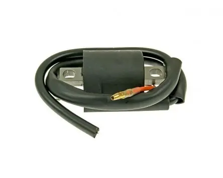 Direkt Vom Hersteller Zündspule Ersatz 12V 50ccm GY6 1-Pin Rivello Roller, Scooter, Moped, universal