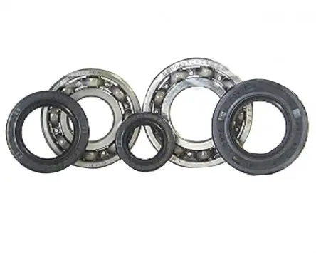 Schneller Versand Lagersatz Kurbelwelle 2EXTREME, 5-teilig kompatibel für Morini Motoren Aprilia SR50, Malaguti Crosser, Suzuki Katana Ersatz Roller Kurbelwellenlagerse