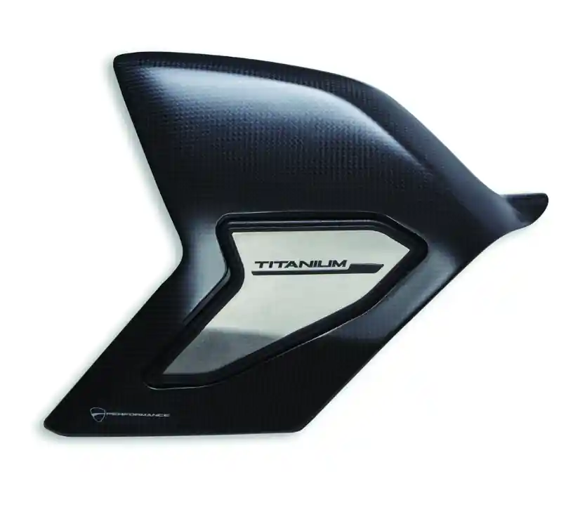 Preisknaller Ducati Schwingen Schutz Carbon / Titan Streetfighter V4/S